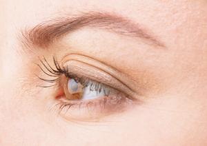 蜂の子の株式会社ゑびや草木庵について