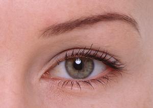 フコイダンの健康効果を徹底解説!家族を守る自然素材の選び方ガイド