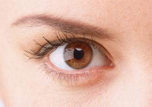 高品質なフコイダン商品を選ぼう